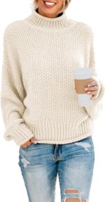 Womens  Winter Fall Solid Turtleneck High Neck Balloon Long Sleeve Sweaters Pullover Outerwear